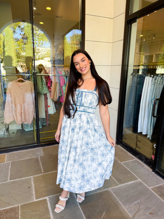 Blue Velvet Garden Dress