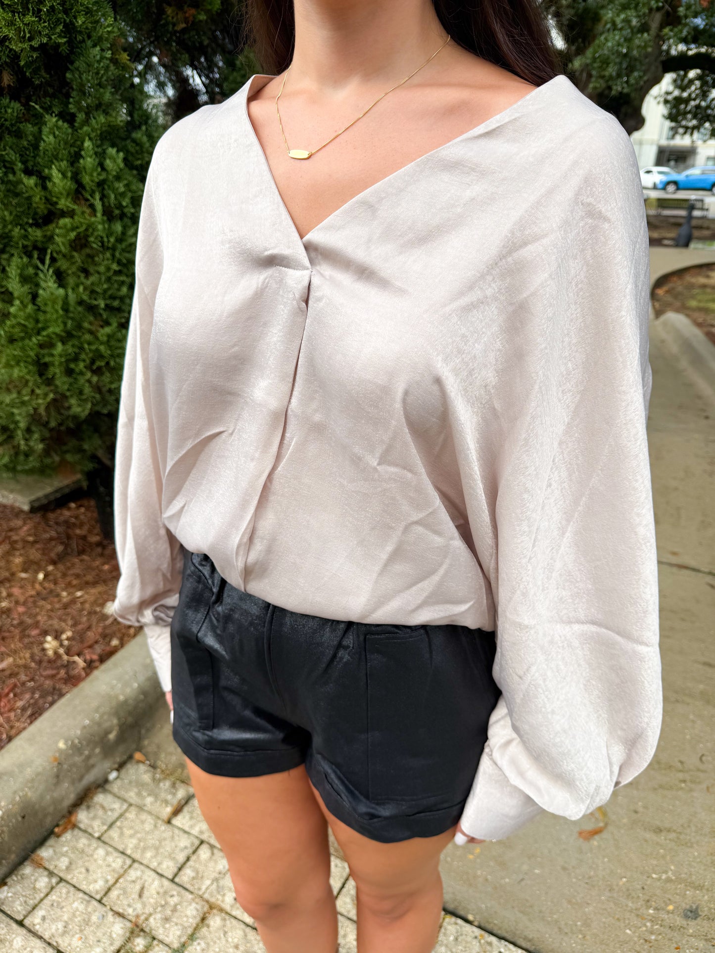 The Bronze Blouse