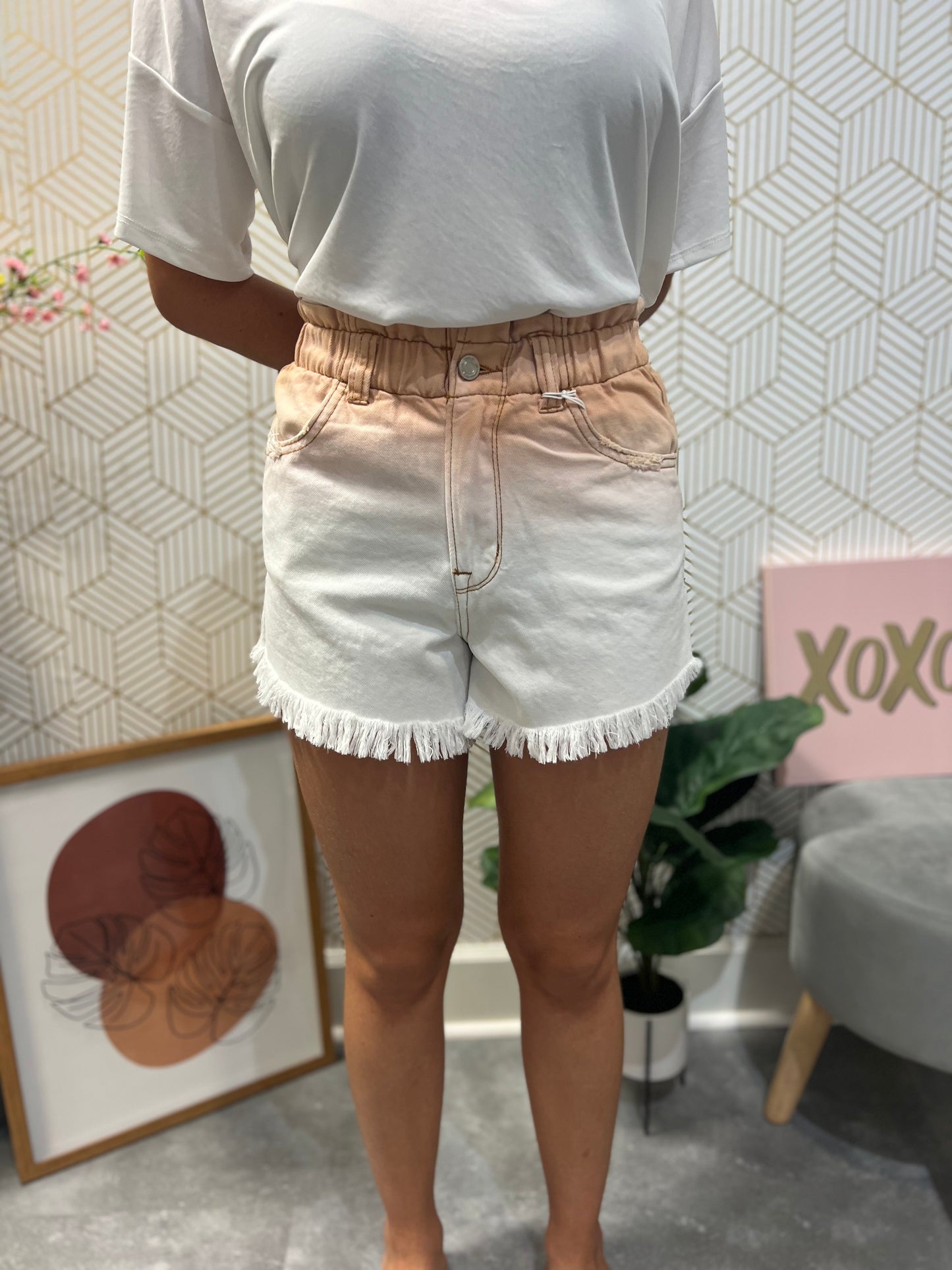 Vervet Excitement Shorts